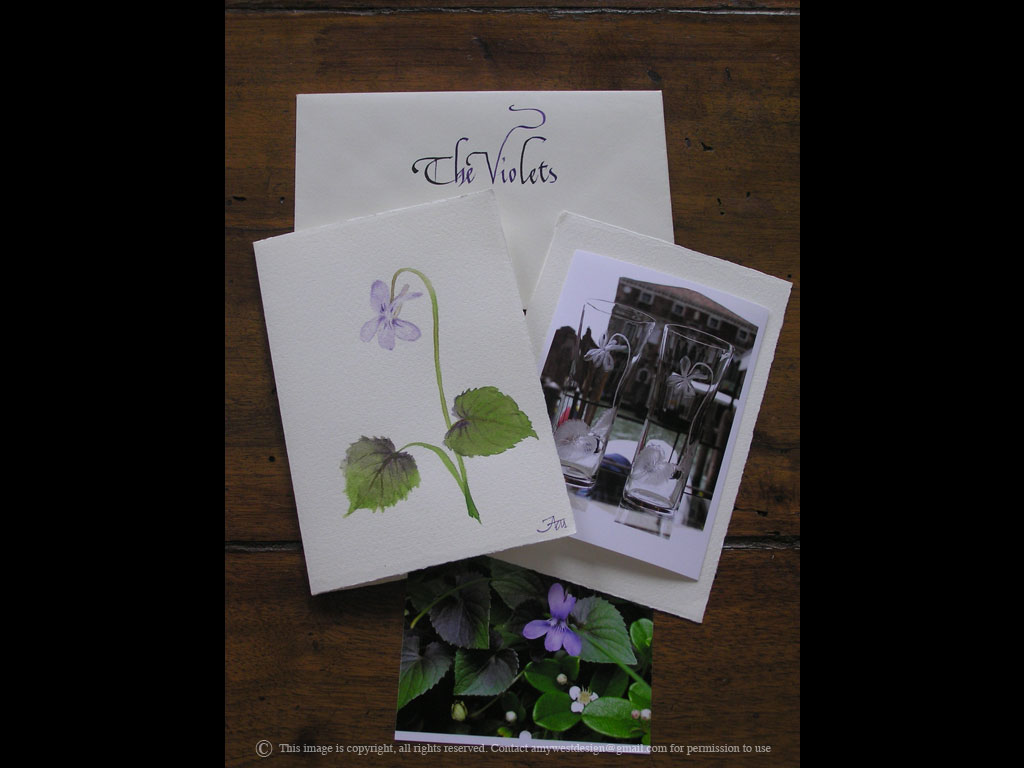 The Violets engraving by Amy West